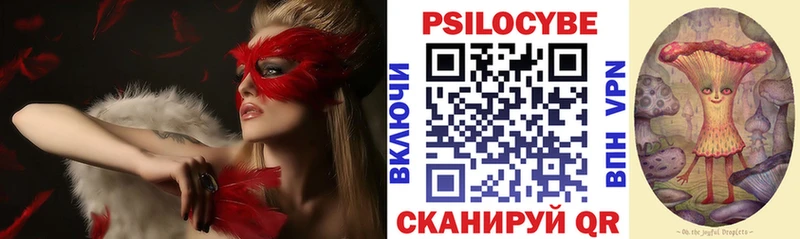 Псилоцибиновые грибы Magic Shrooms Ядрин